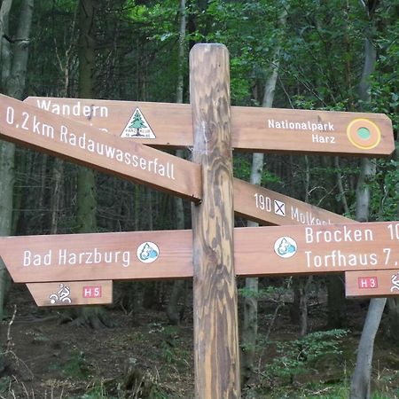 Ferienwohnung Fewo Schröder - Harzflair Braunlage Exterior foto