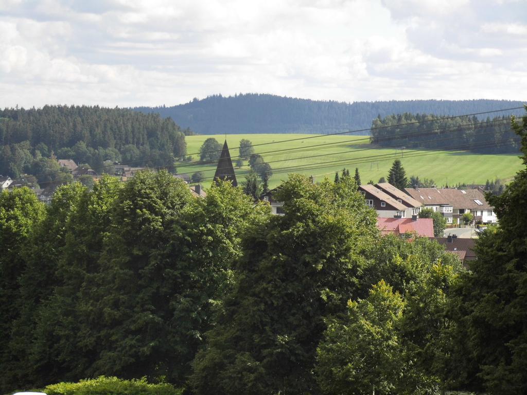 Ferienwohnung Fewo Schröder - Harzflair Braunlage Exterior foto