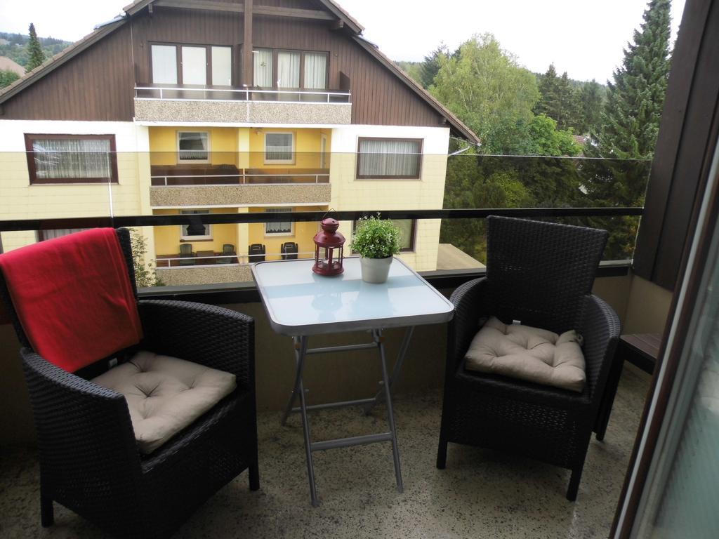 Ferienwohnung Fewo Schröder - Harzflair Braunlage Exterior foto